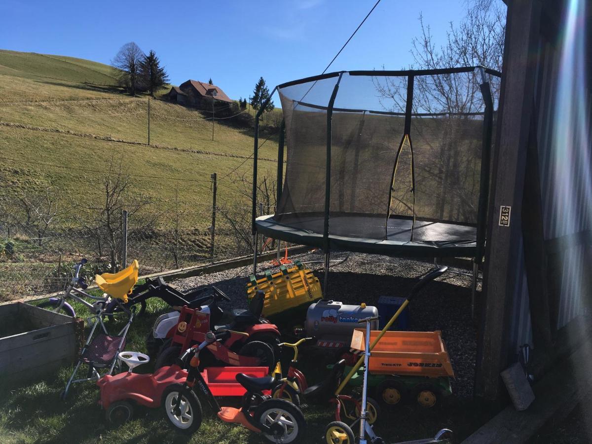 3,5 Zimmerferienwohnung Schwalbenaescht Rueeggisberg Eksteriør billede
